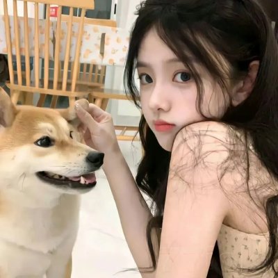 早安总统